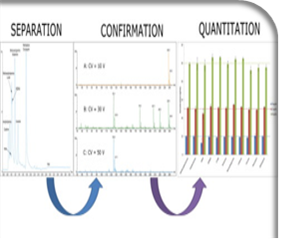 Research graphic